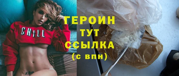 прущие грибы Лабытнанги