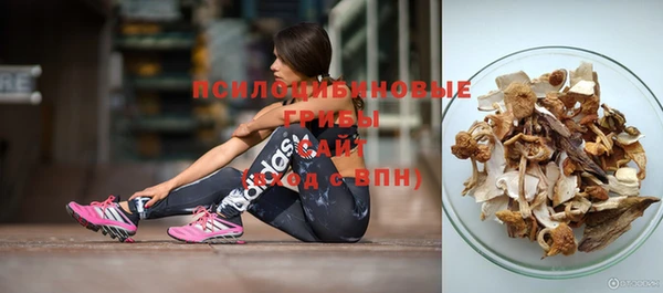 прущий лед Лагань