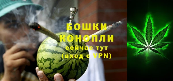 прущие грибы Лабытнанги