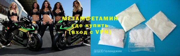 прущие грибы Лабытнанги