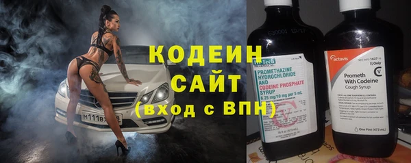 хмурый Ладушкин
