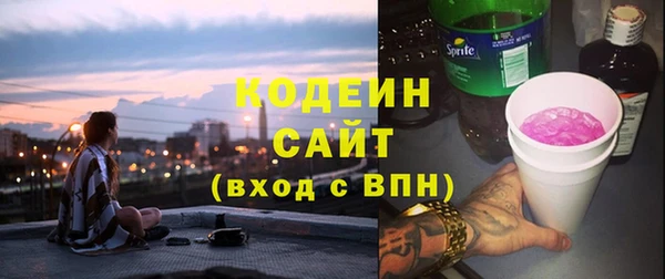 хмурый Ладушкин