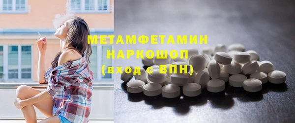 прущие грибы Лабытнанги