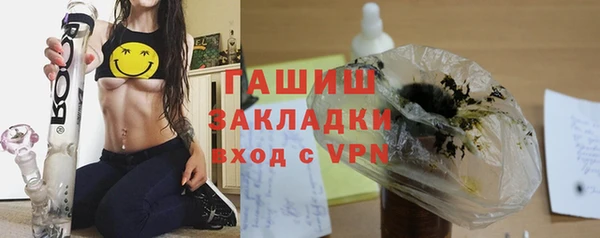 прущие грибы Лабытнанги