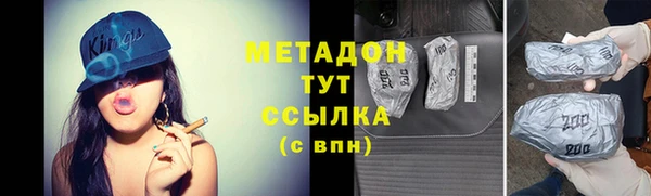 прущие грибы Лабытнанги