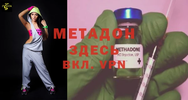 прущие грибы Лабытнанги