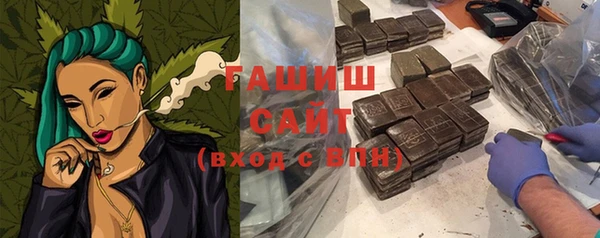прущие грибы Лабытнанги