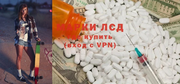 прущие грибы Лабытнанги