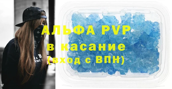 прущие грибы Лабытнанги