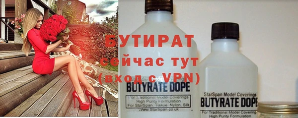 прущие грибы Лабытнанги