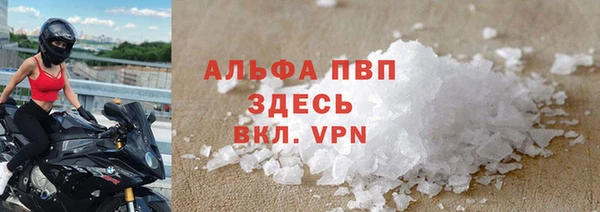 прущие грибы Лабытнанги