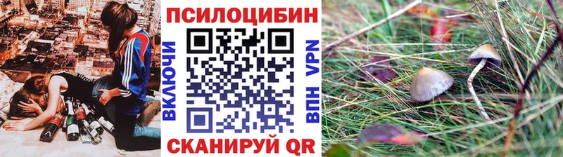 Галлюциногенные грибы GOLDEN TEACHER  Купить закладки  Галич 